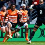 Cheetahs get Europe extension