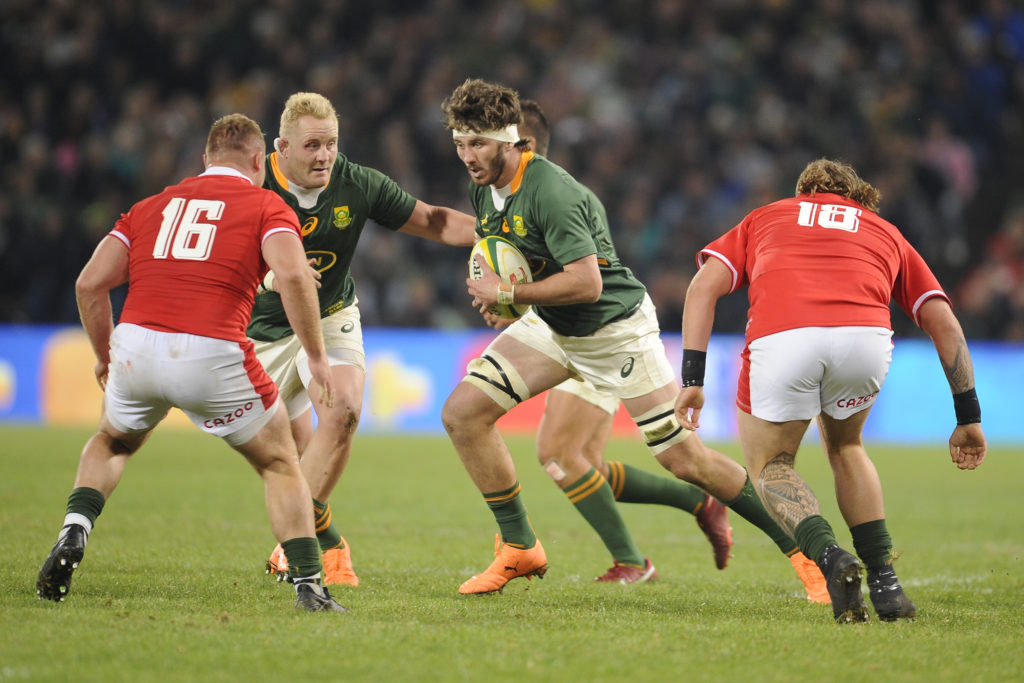 Nortje back in Bok dreamland