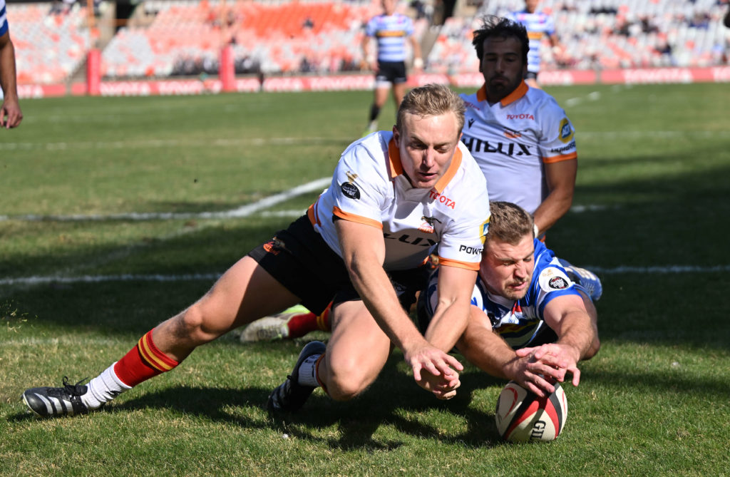 Cheetahs claw WP in Bloem