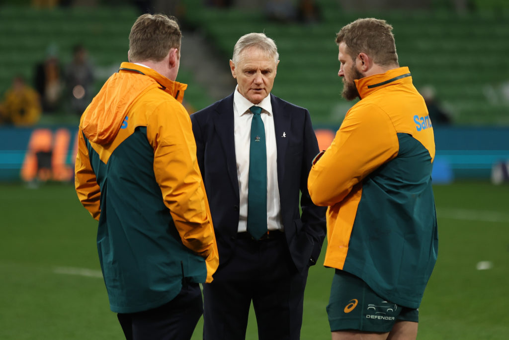 Rassie rallies behind wobbly Wallabies