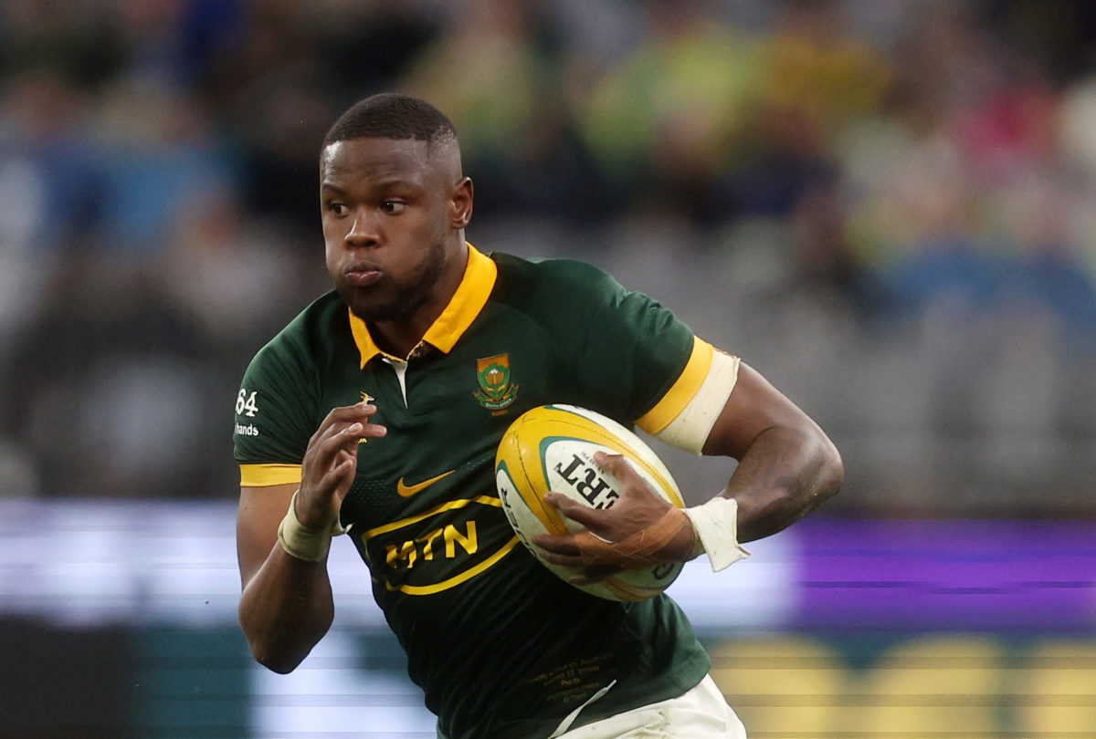 Boks again Fassi to fly in opposition to All Blacks