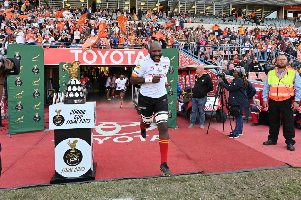 Cheetahs stock up on champs for catfight